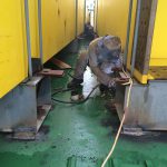 Lashing - Unlashing